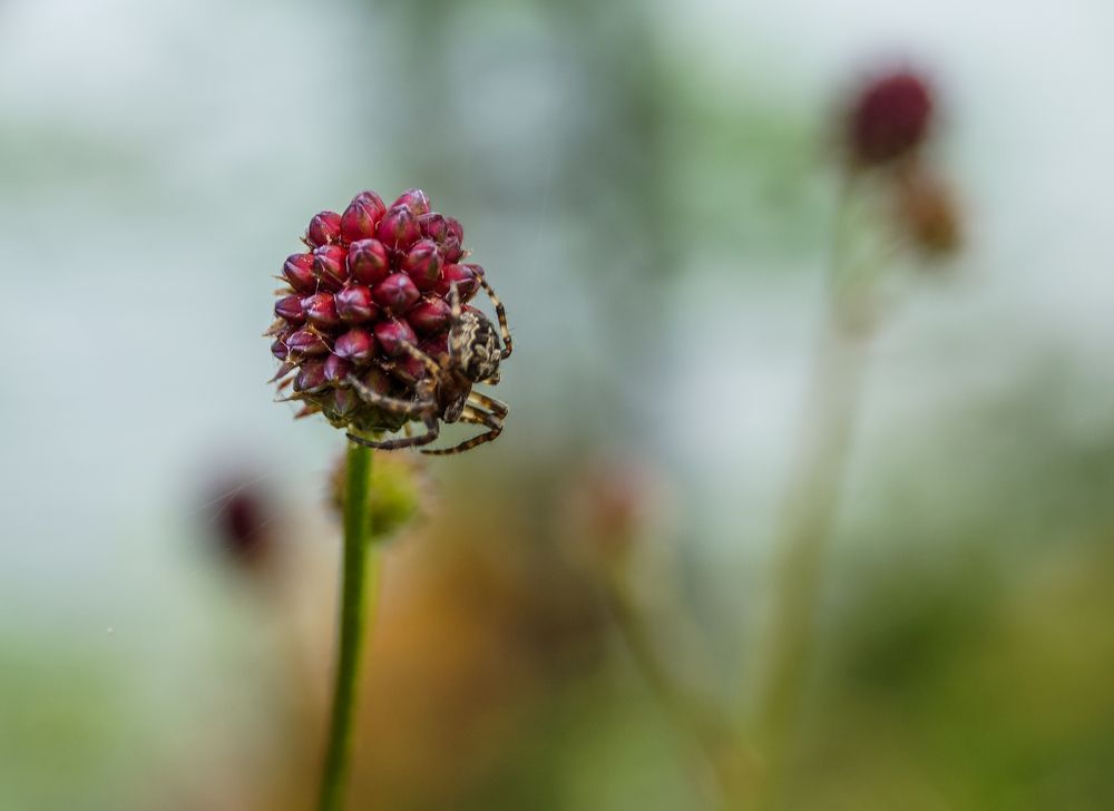 Photograph by Виктор Сёмушкин
