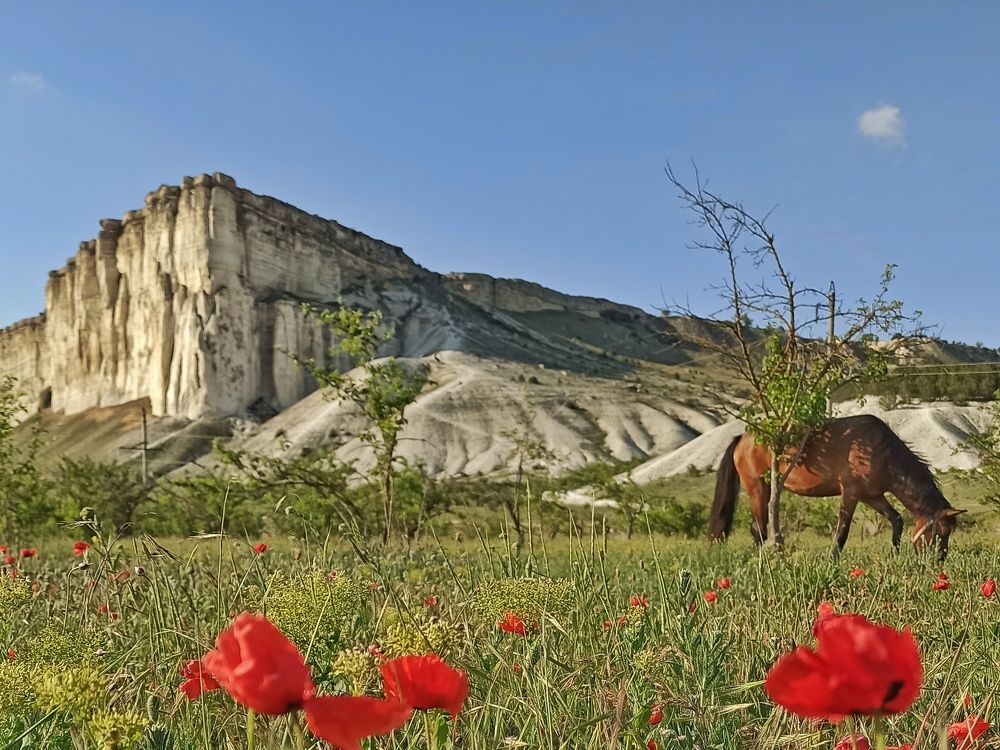 Photograph by Сергей Жигульский