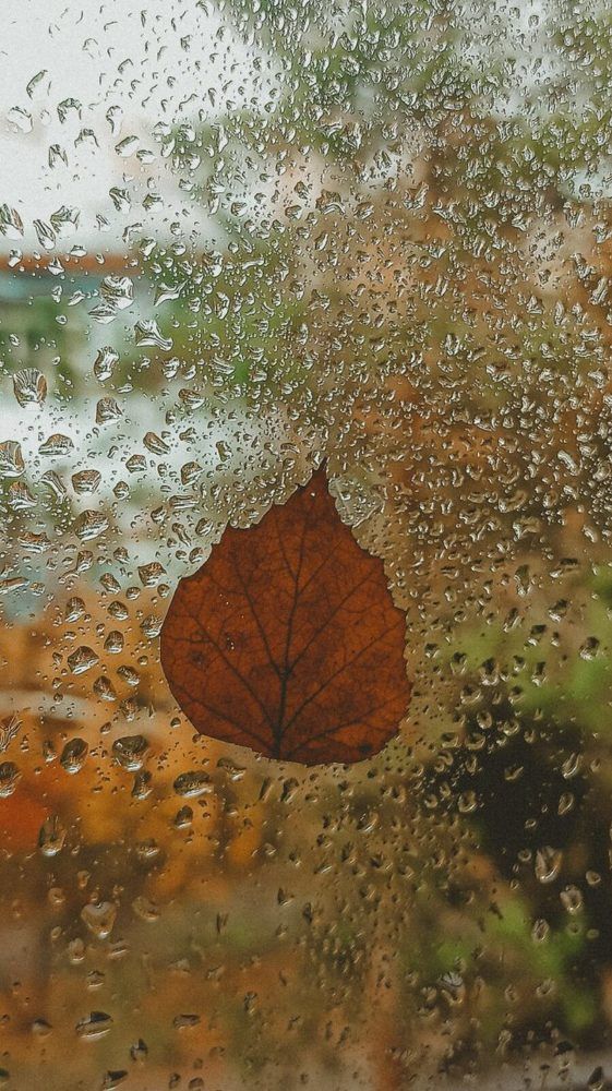 Photograph by Валентина Ильиных