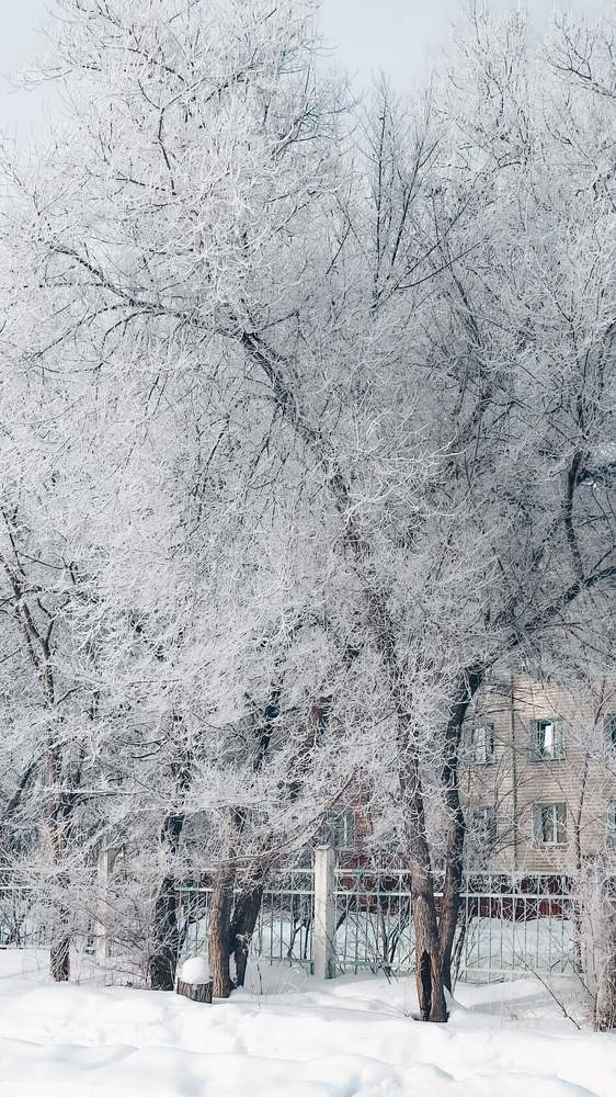 Photograph by Валентина Ильиных