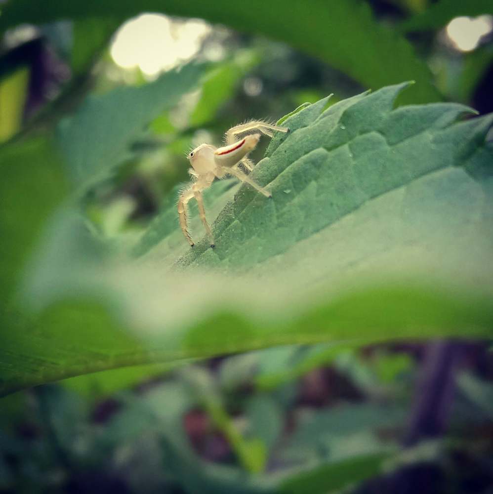 Photograph by Dhaneshkumar Dhaneshkumar Dakshinamoorthy