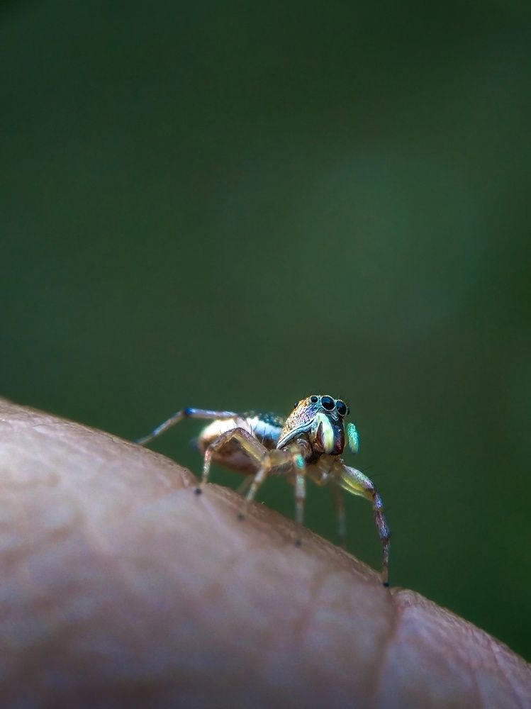 Photograph by Feri Fikri