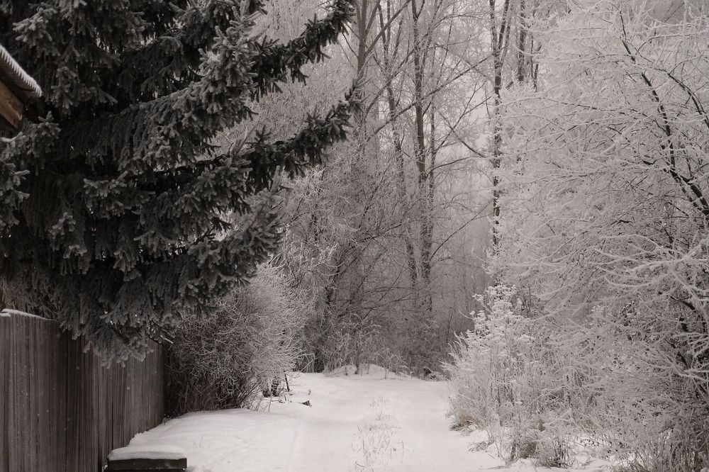 Photograph by Оксана Батракова