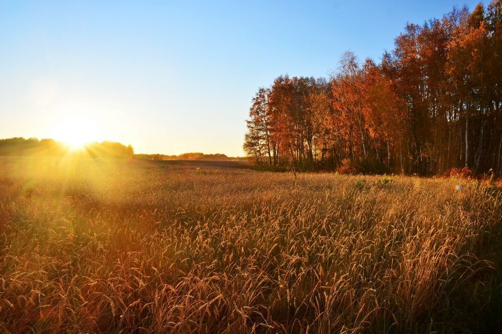 Photograph by Andrey