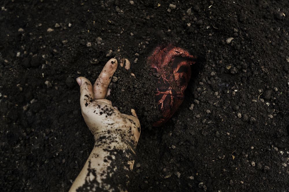 Photograph by Silvana Córdoba