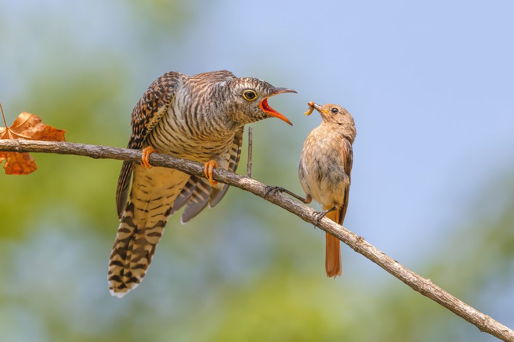 Photograph by Liu YuDong