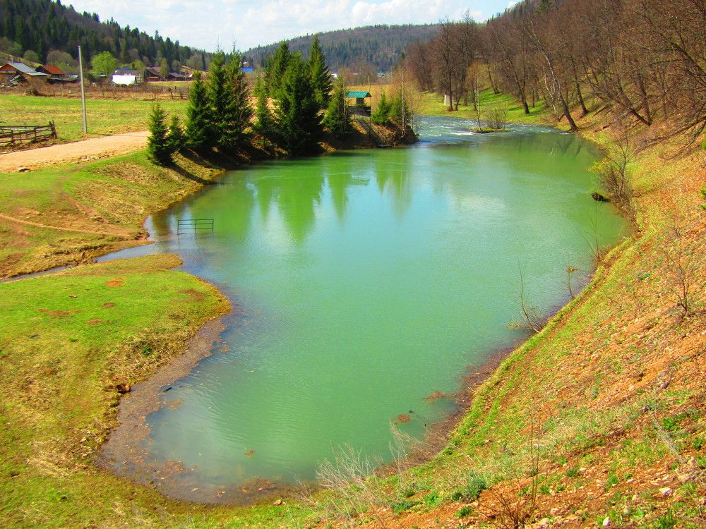 Photograph by Георгий Могилевский
