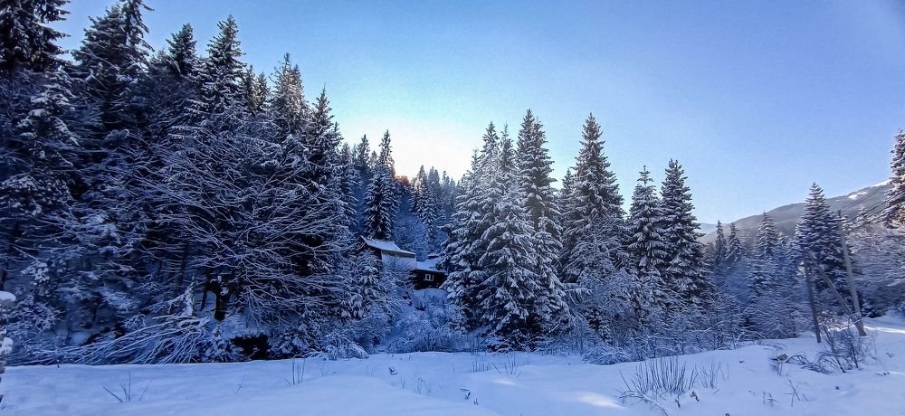 Photograph by Галя Кочубей