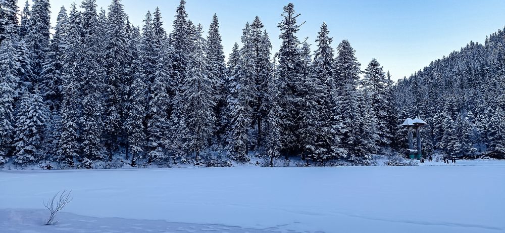 Photograph by Галя Кочубей