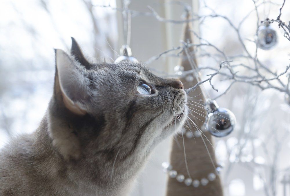 Photograph by Наталья Остапенко