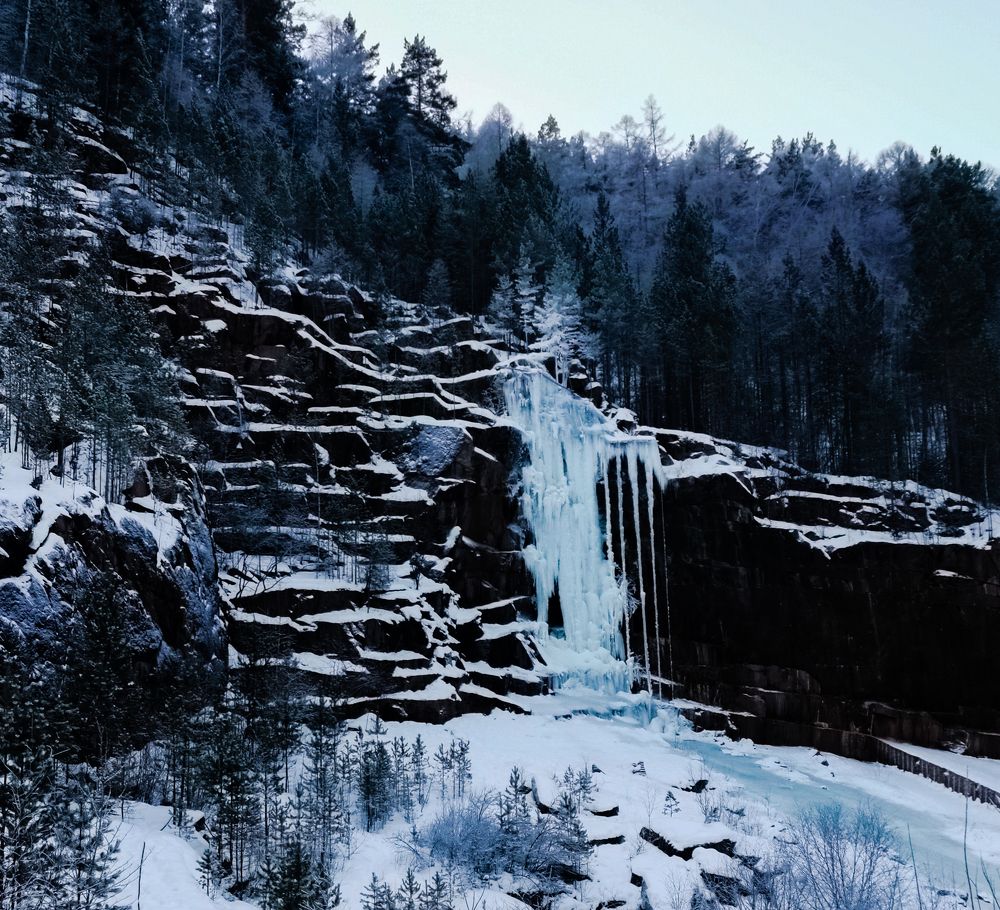 Photo #7110630