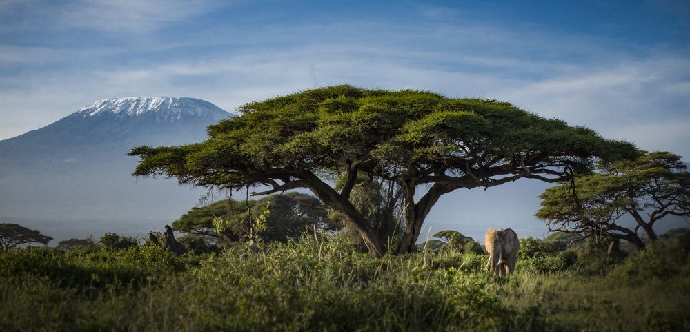 Photograph by Elvira Alikhanova