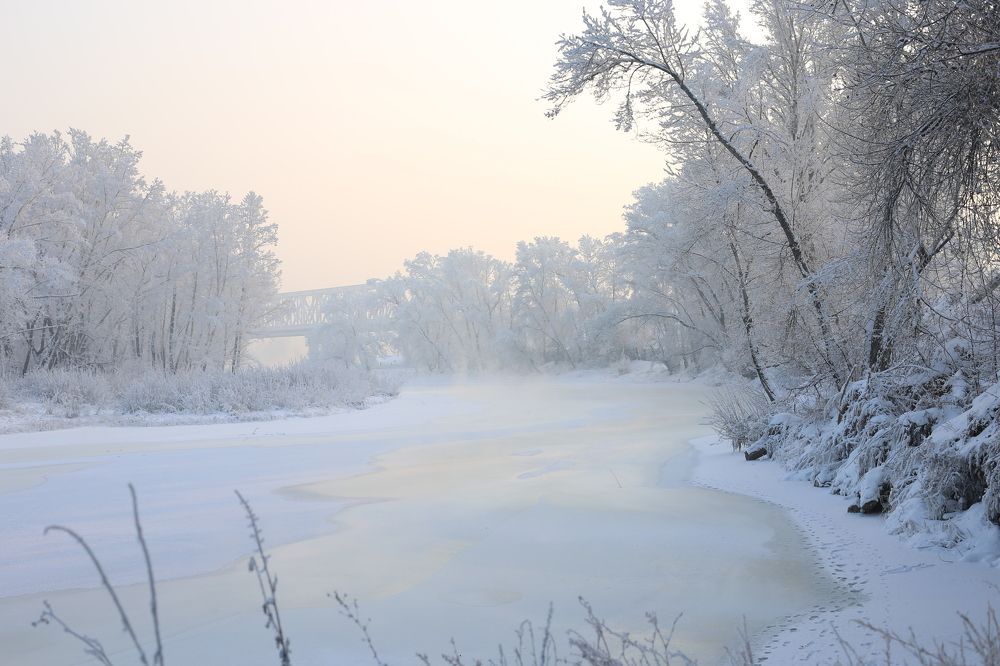 Фотография автора Шутенкова Евгения