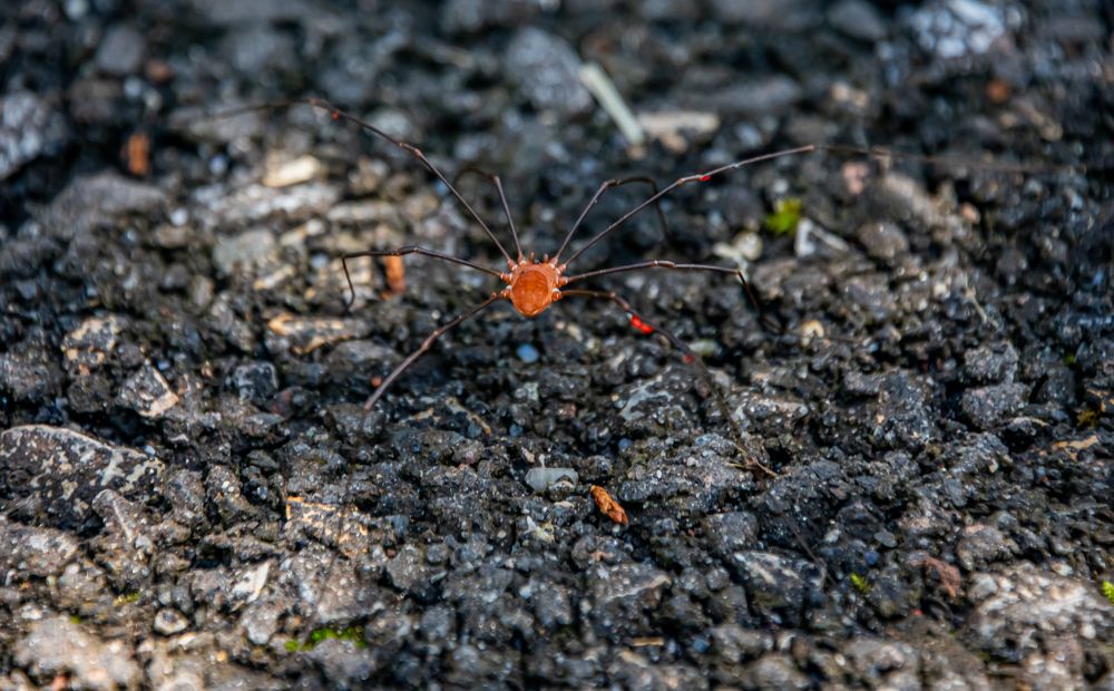 Photograph by Andrea