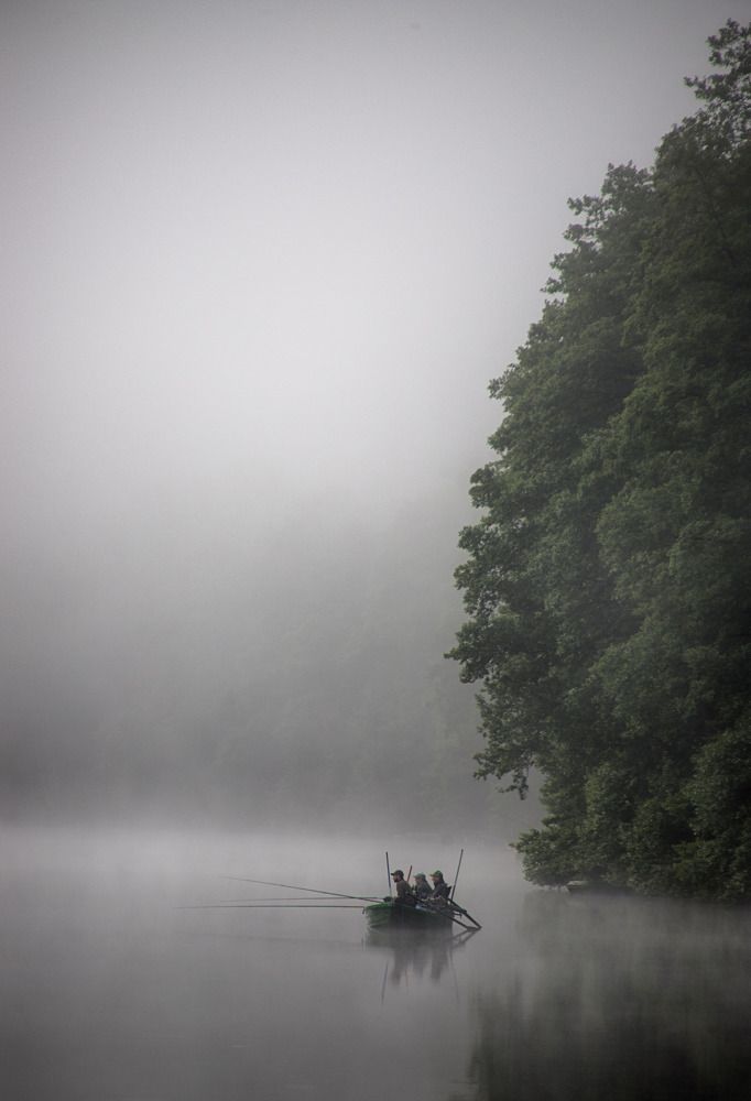 Photograph by Guy Krier