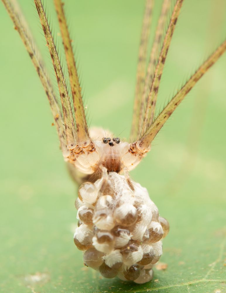 Photograph by Wildan Ardani