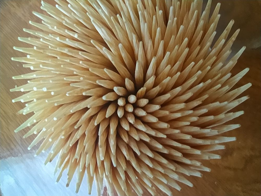 Photograph by Litvinova Ann