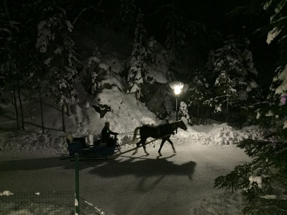 Фотография автора Елена Лицис