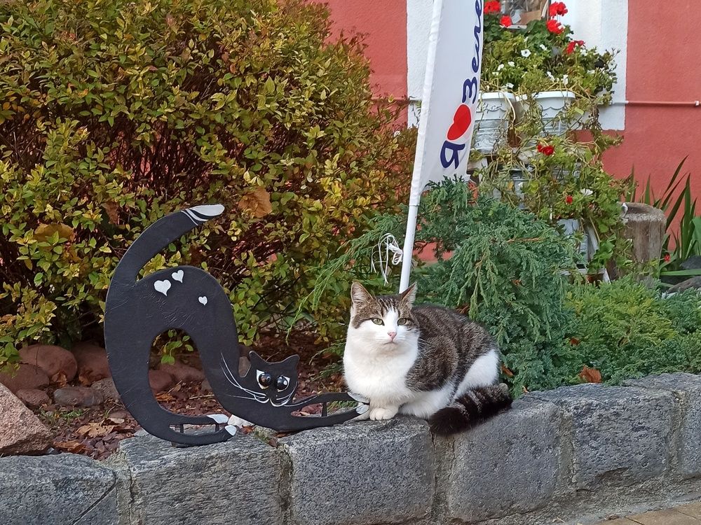 Photograph by Сергей Жигульский