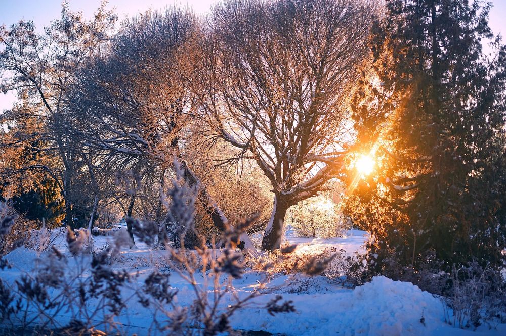 Photograph by Alexander Coin