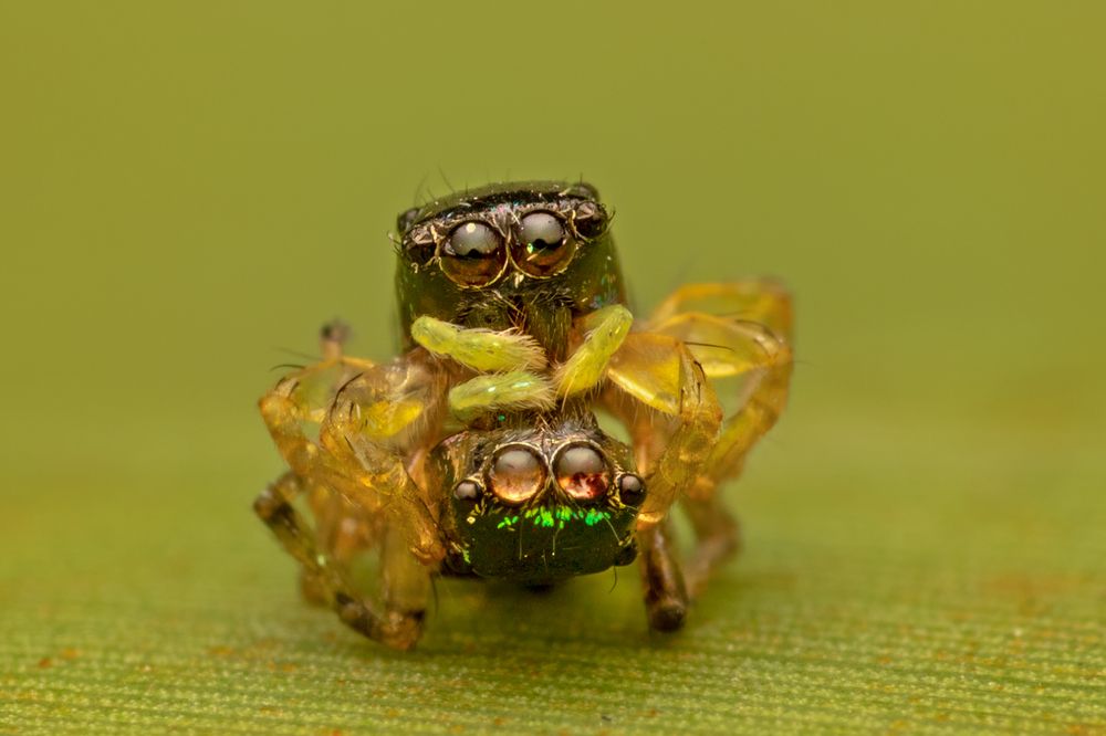 Photograph by Subhankar Bardhan