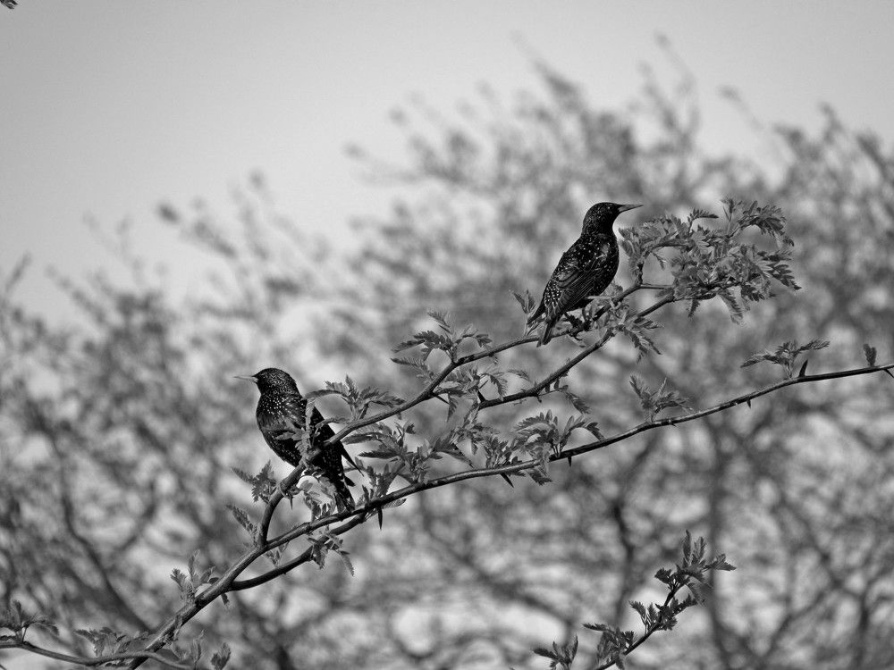 Photograph by Елена Кузнецова