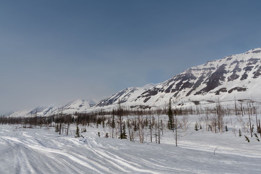 Photograph by Ирина Ульянова