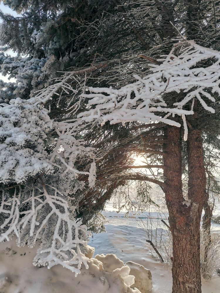 Photograph by Анастасия