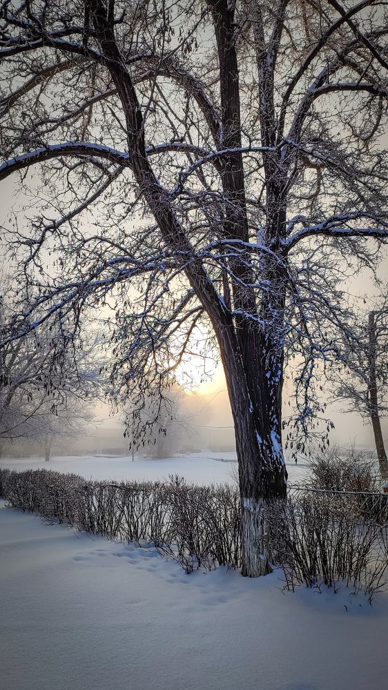 Фотография автора Анастасия Мамаева