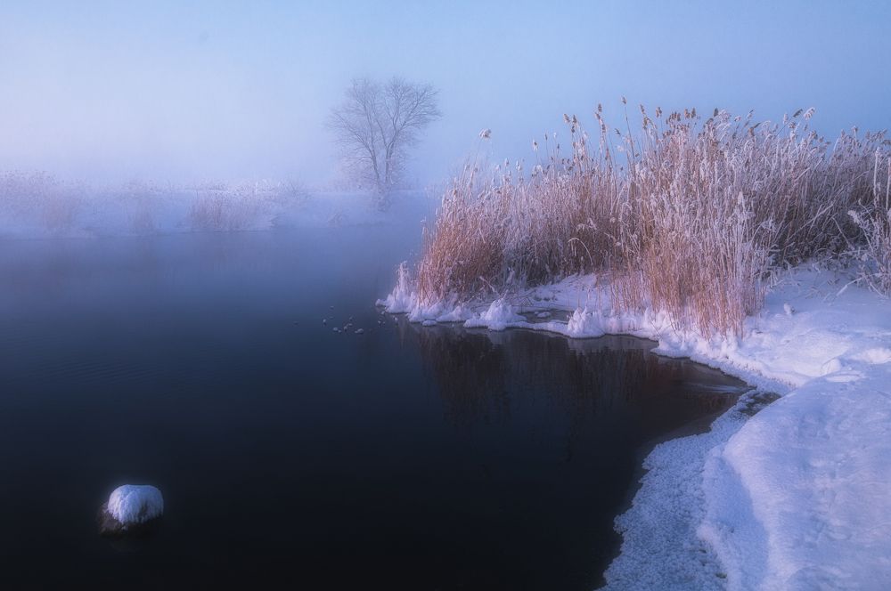 Photograph by Илья Толстоноженко