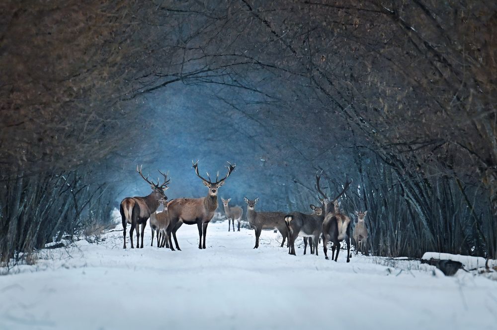 Photograph by Чернобай Анна