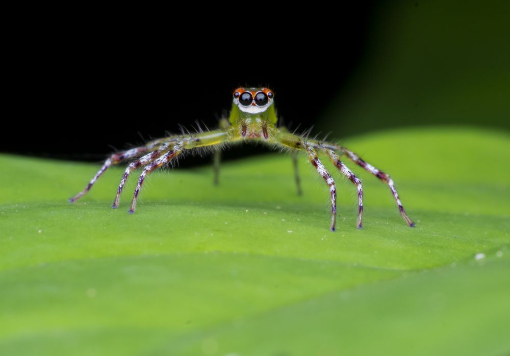 Фотография автора Jayanta Basak