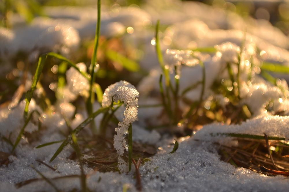 Photograph by Алексей Абратанов