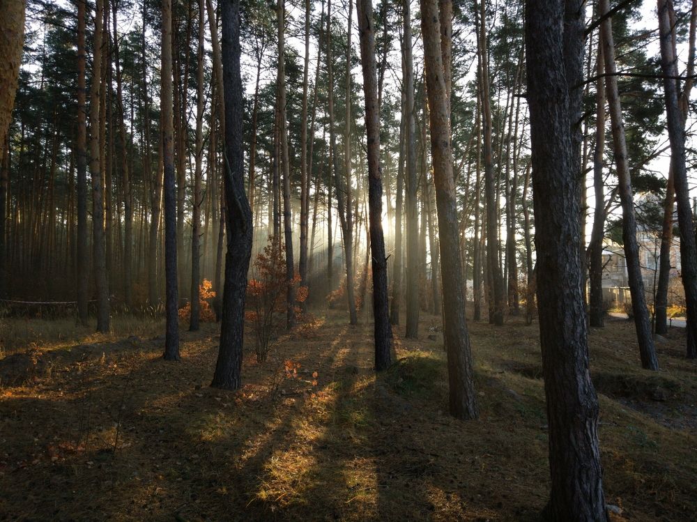 Photograph by Богдан