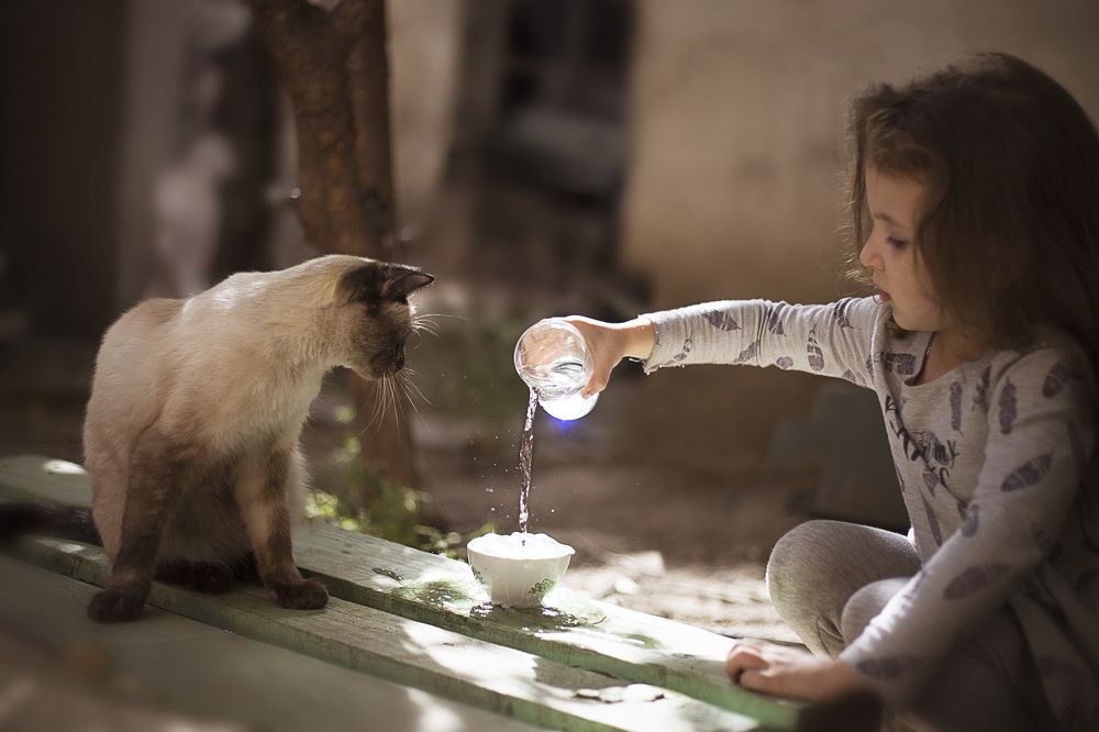 Photograph by Татьяна Менжулина