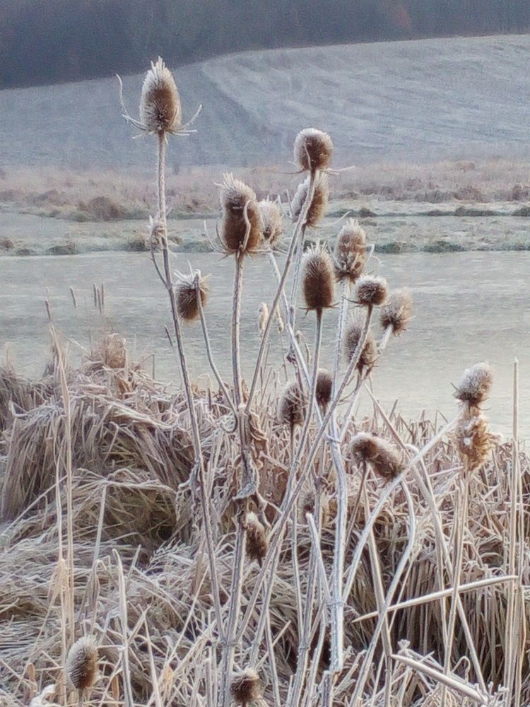 Фотография автора Николай Замковой