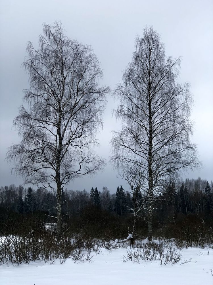 Photograph by Юлия Отставнова