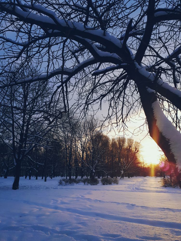 Photograph by Nora Cheprasova