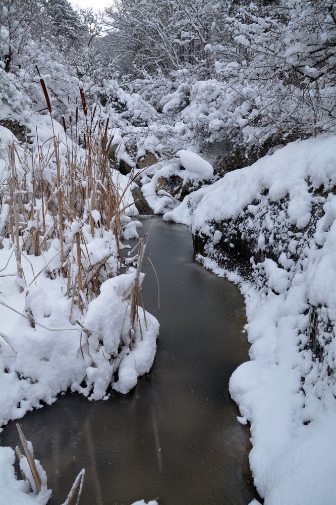 Photograph by Екатерина Крючкова