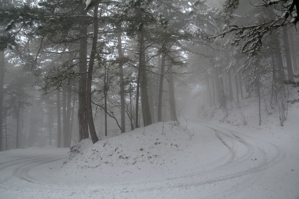 Photograph by Екатерина Крючкова