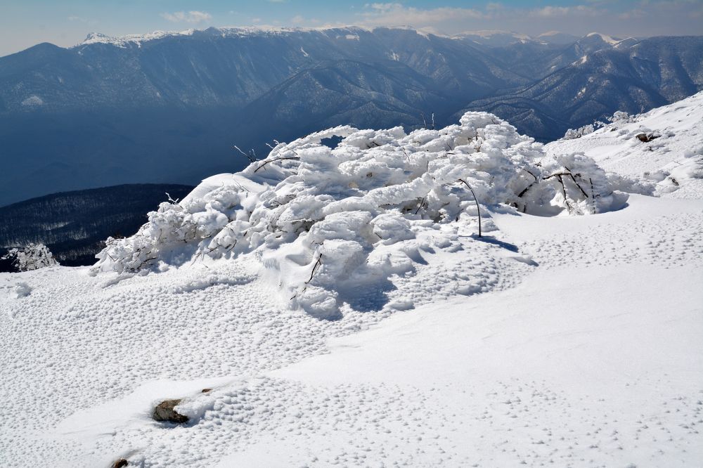 Photograph by Екатерина Крючкова