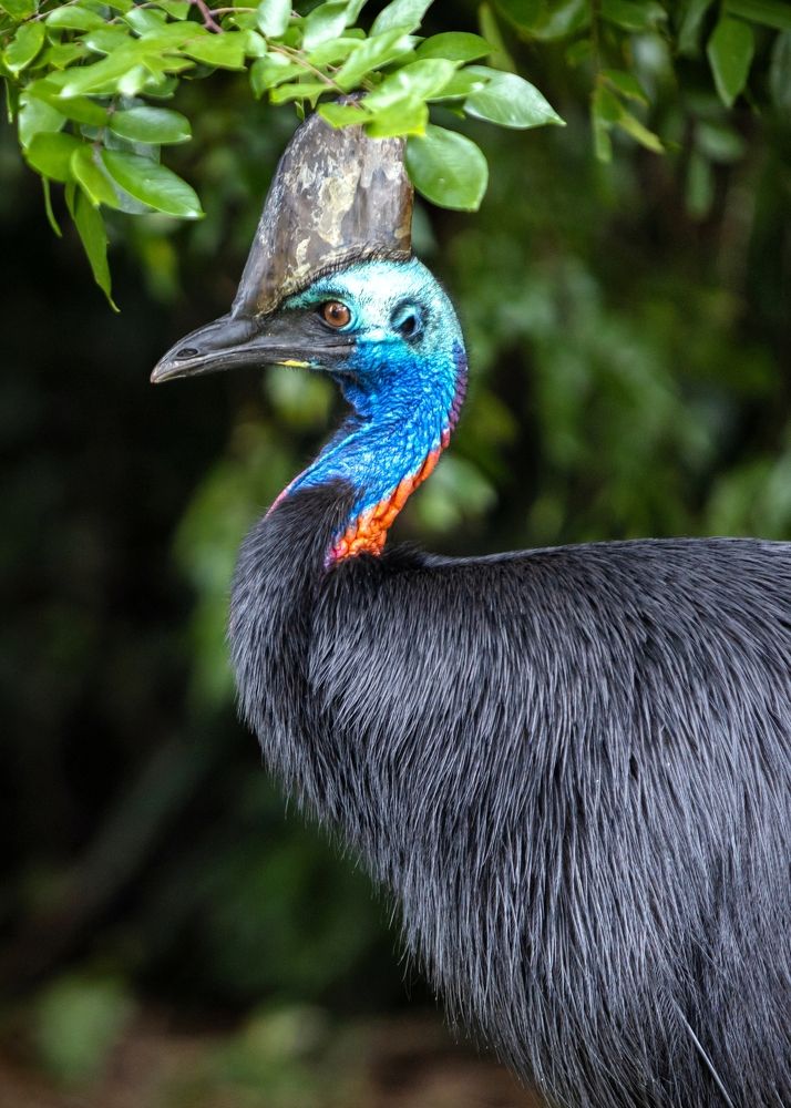 Photograph by Hadriel91