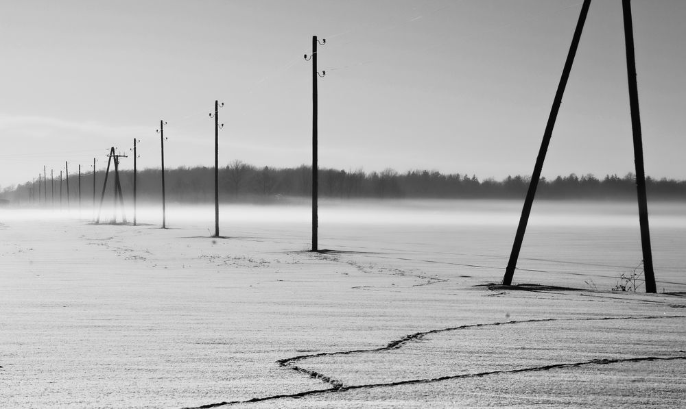 Photograph by Valerij  Poluden