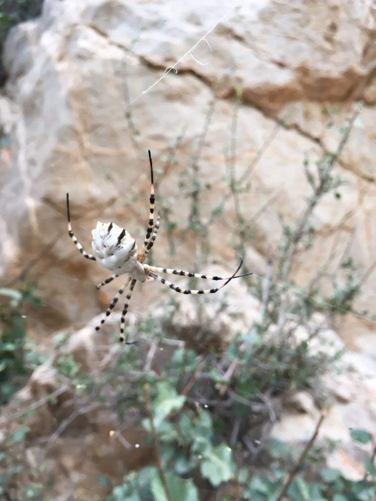 Photograph by najmeh hakimaei