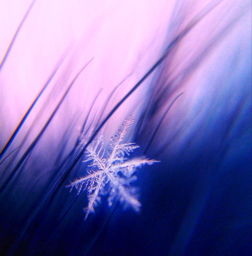 Photograph by Ольга Хромова