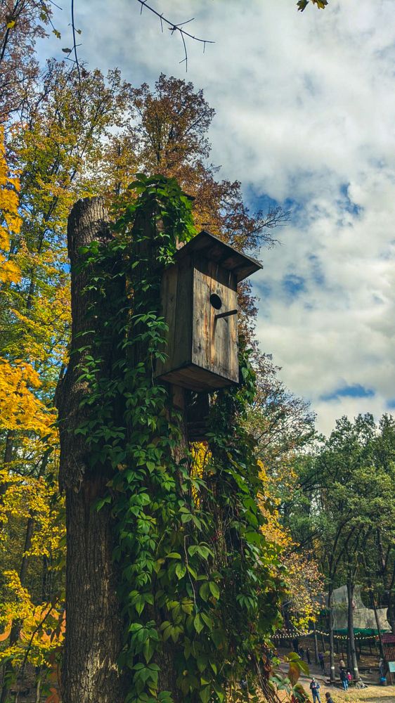 Photograph by Наталия Чайка