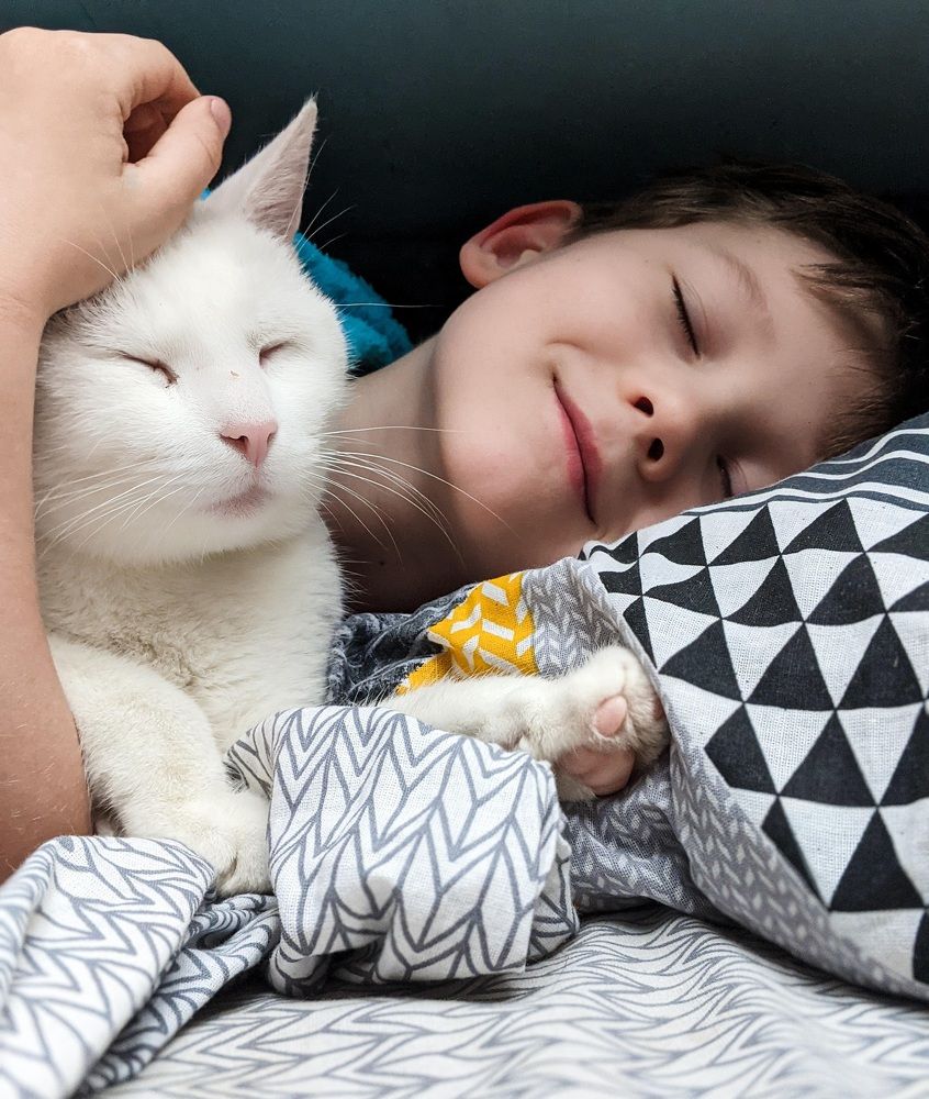 Фотография автора Ксения