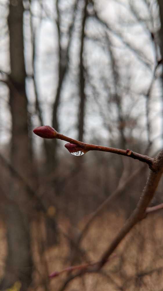 Photograph by Наталия Чайка