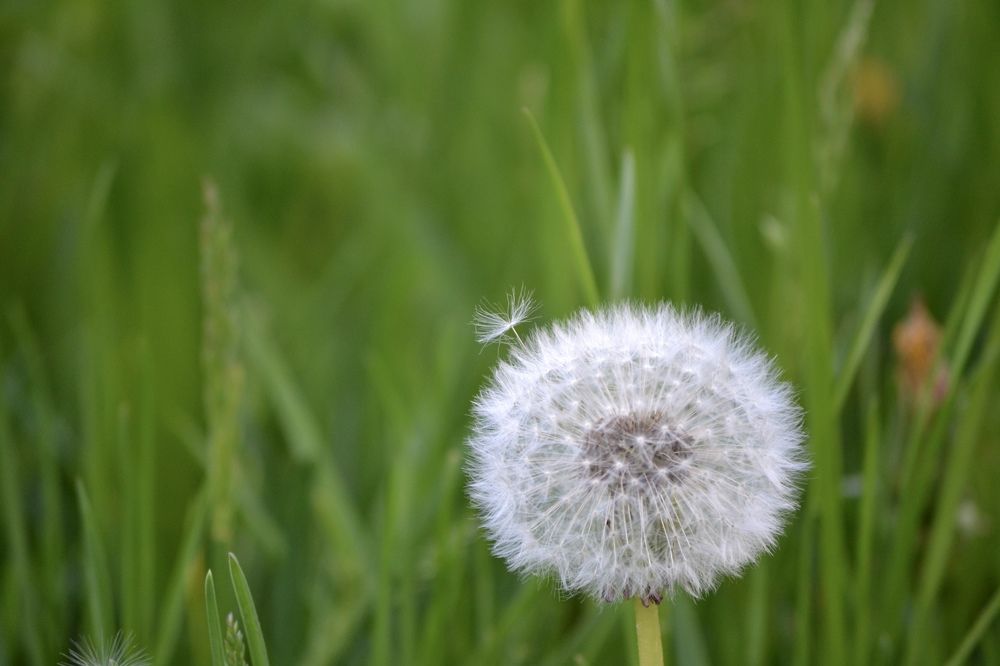 Photograph by Александра