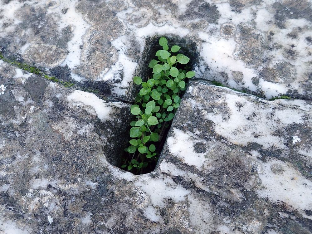 Photograph by Алексей Амилющенко